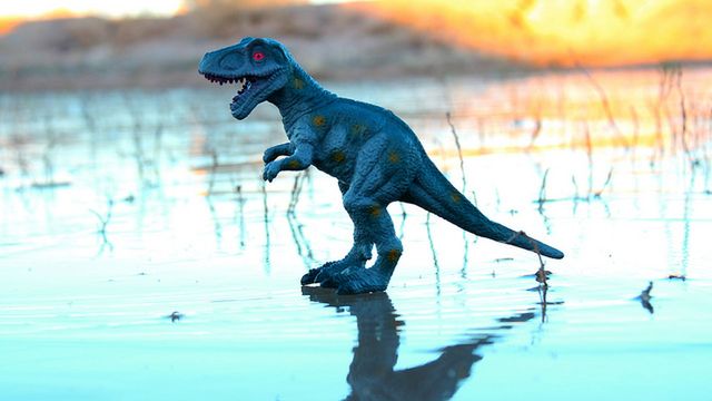 Dinozaury mogły być zawszone? 1