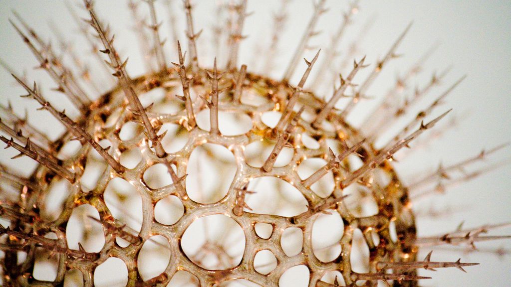 Naukowcy znaleźli wirusa, który pomoże w odchudzaniu 1