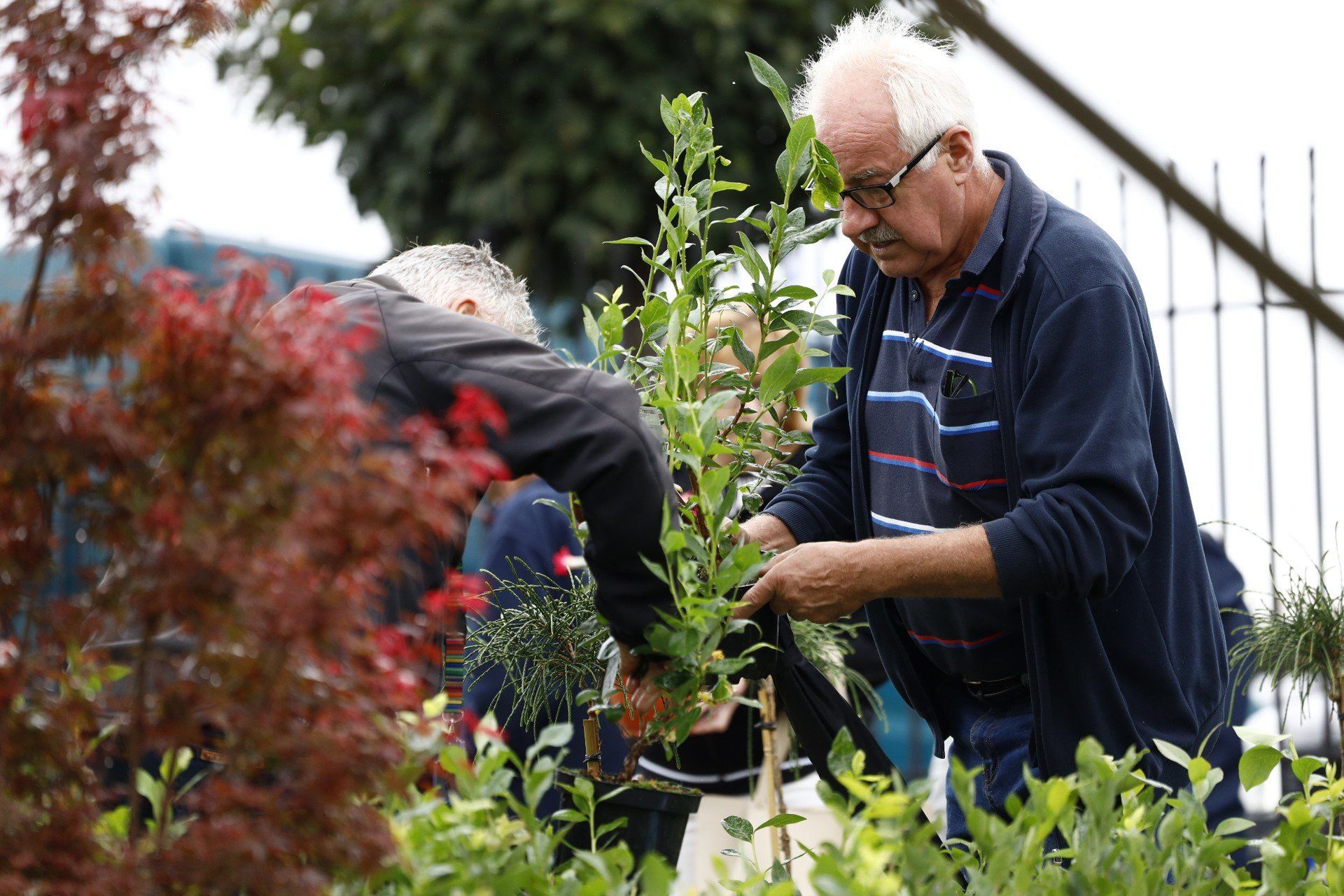 Stoiska ogrodnicze pełne inspiracji dla domu i ogrodu