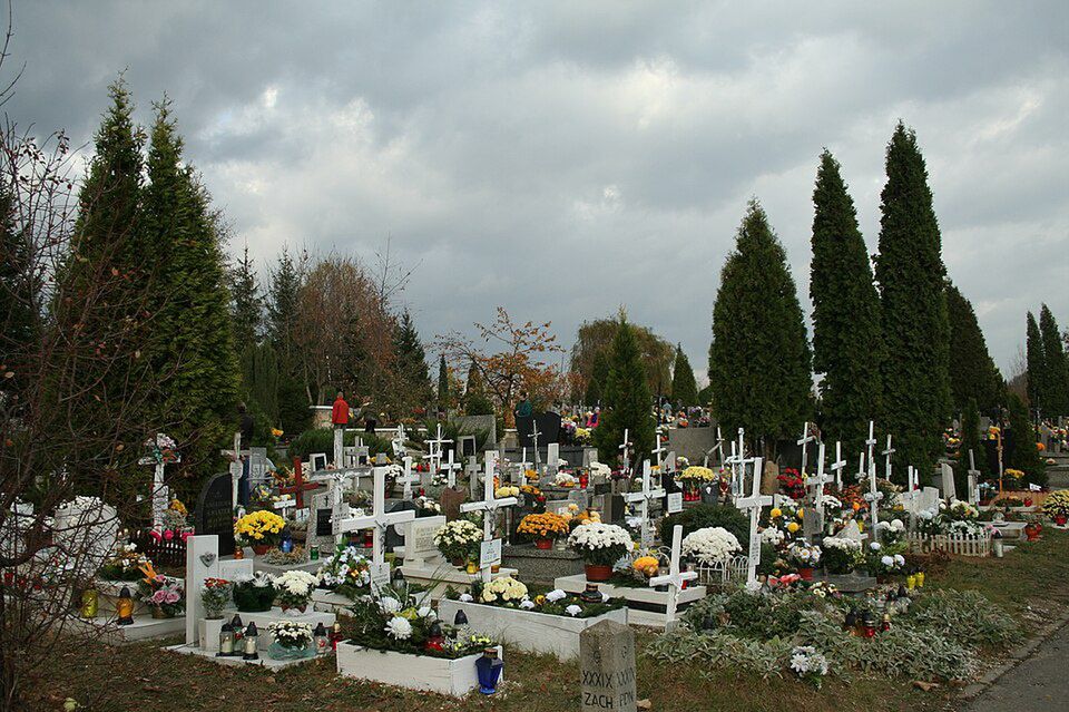 Kraków: Cmentarz Batowicki zyska zielony skwer z rzeźbami