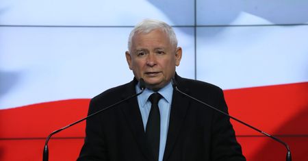 Konflikt w sprawie firm futrzarskich. "Ta branża nie ma znaczenia dla gospodarki"