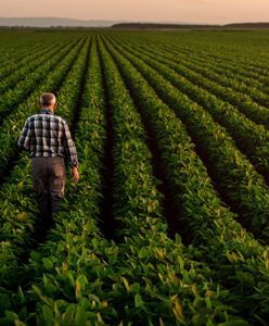 Gospodarstwa opiekuńcze. Nowy pomysł rządu dla rolników seniorów