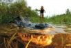 Bagna potworów Everglades