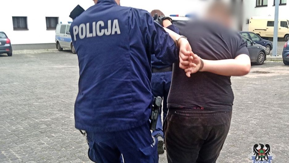 policja