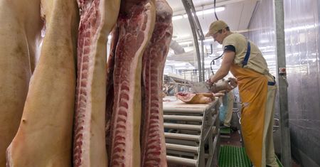 32 osoby bez wypłaty. Zatrudniający ich Palestyńczyk zniknął bez śladu