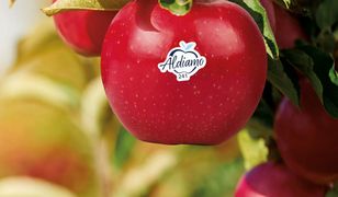 Niemiecka sieć stworzyła własną odmianę jabłek. "Zajęło nam to 20 lat"