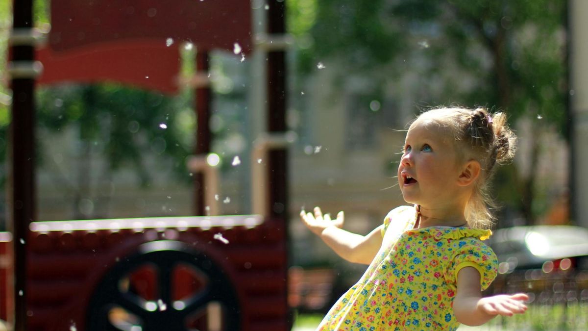 Topoli puch unosi się obecnie w powietrzu 