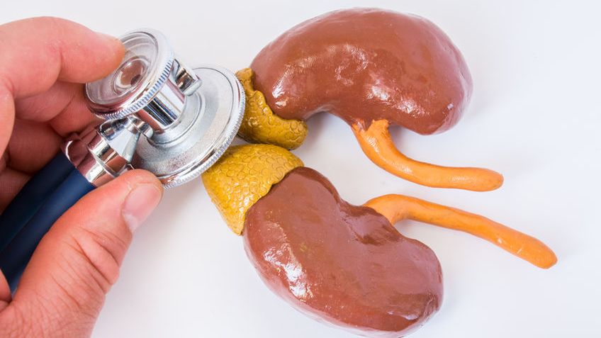 Adrenalina to hormon wytwarzany przez nadnercza