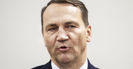 Sikorski odniósł się do kandydatury w wyborach. "To musi być prawda"
