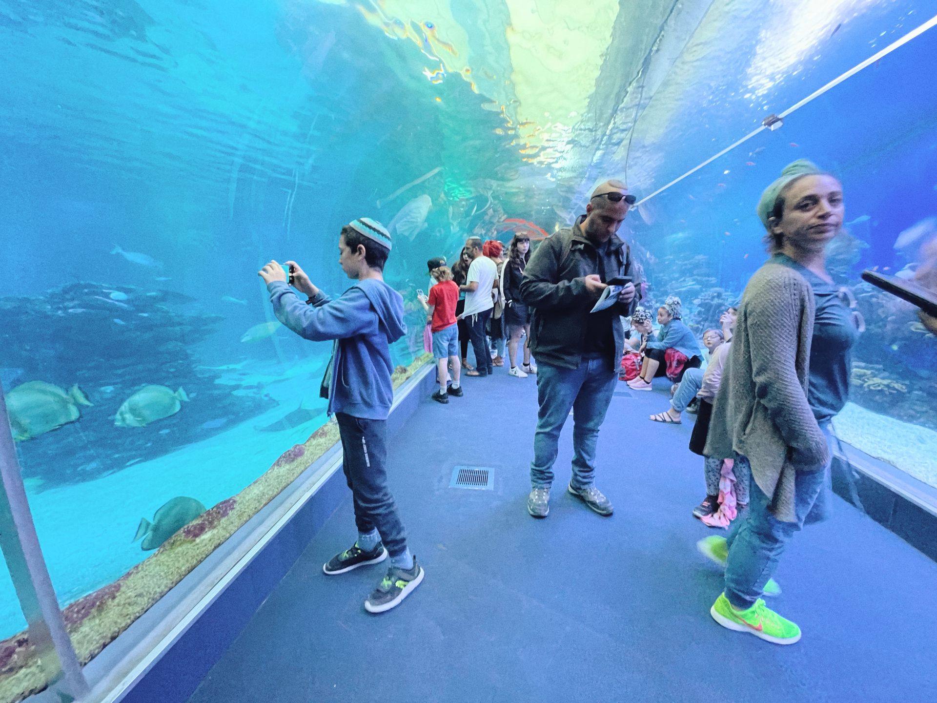 Oceanarium 
