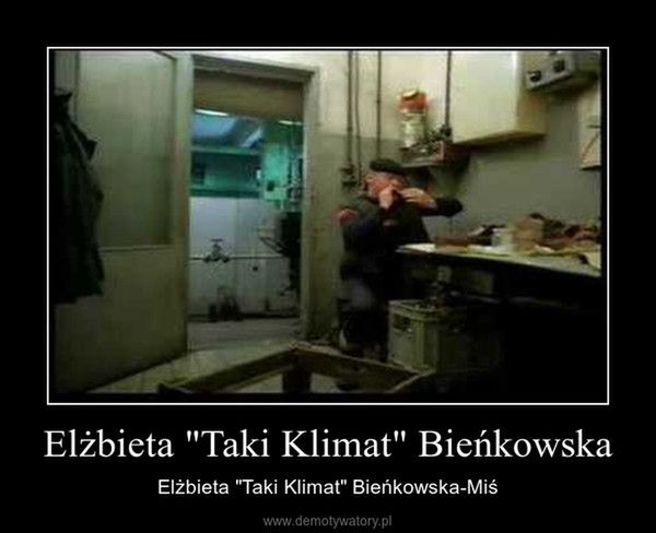 "Sorry, taki mamy klimat". Bieńkowska i zamarznięte pociągi w memach 6