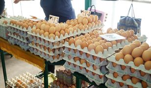 Jaja coraz droższe. Czekają nas dalsze podwyżki