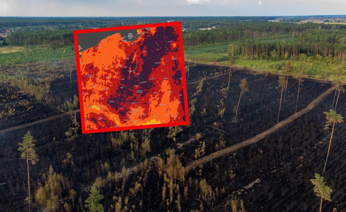 pogoda, pogoda weekend, zagrożenie pożarowe, imgw Mapy są aż fioletowe. IMGW bije na alarm