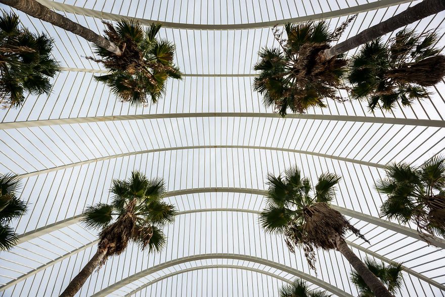 Architektura Walencji jest kosmiczna! Świetnie pokazał ją Gauvin Lapetoule 7
