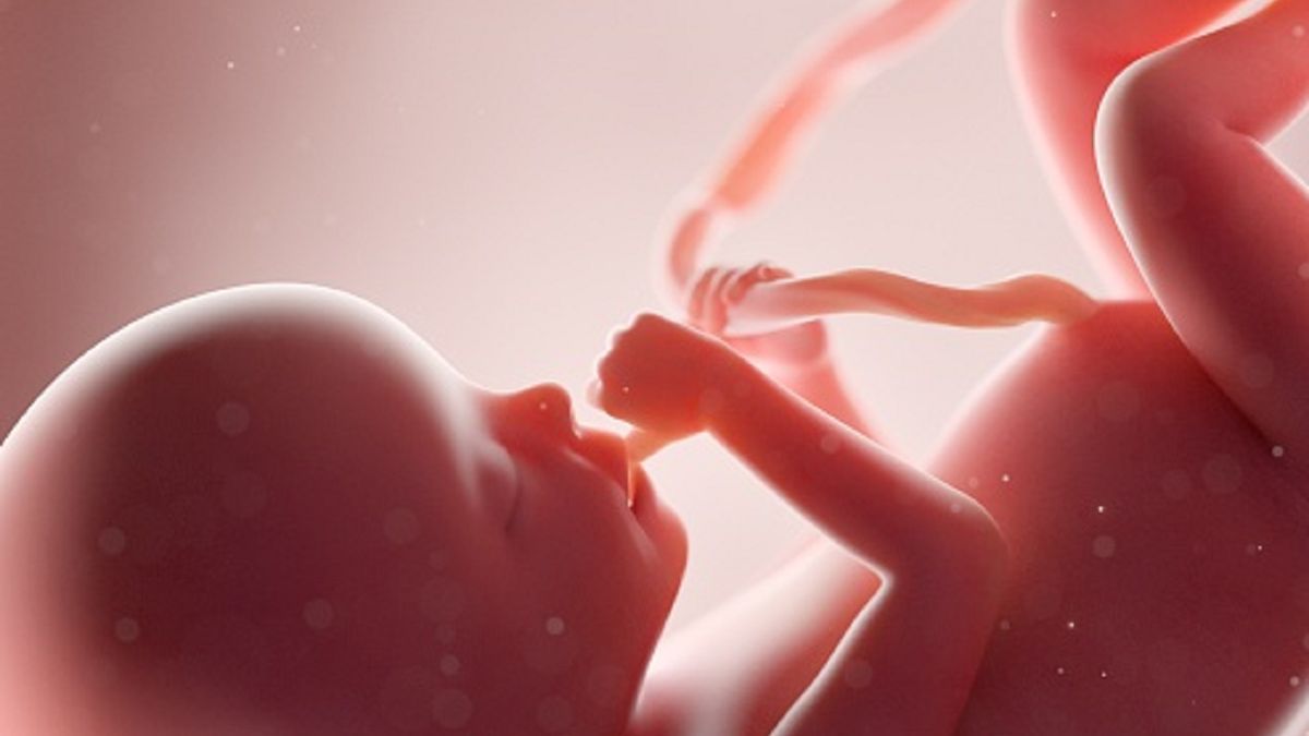 Lekarze przeprowadzili operację na małym sercu.