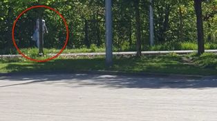 Piaseczno: Złodziejka akcesoriów rowerowych próbowała ukryć się za drzewem WIDEO