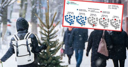Pogoda na Boże Narodzenie. Szansa na białe święta "mniejsza niż większa"