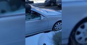 Zostawił auto z otwartymi szybami. Nagranie kierowcy po śnieżycy w USA