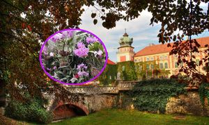 Niepowtarzalna okazja, aby zobaczyć i powąchać. Unikatowa kolekcja