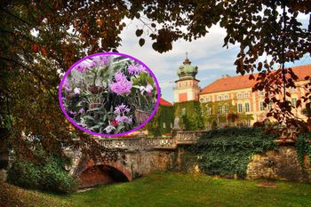 Niepowtarzalna okazja, aby zobaczyć i powąchać. Unikatowa kolekcja