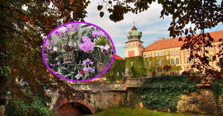 Niepowtarzalna okazja, aby zobaczyć i powąchać. Unikatowa kolekcja