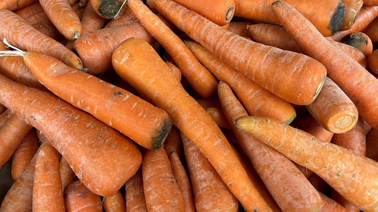 Tak przechowuj marchew, a będzie chrupiąca aż do wiosny