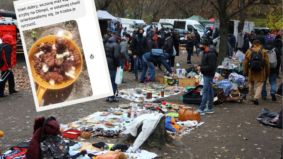 Kupiła trujące grzyby na bazarze Olimpia. 