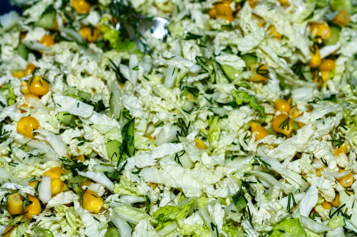 Cabbage and cucumber slaw: The unexpected hit at every family meal