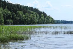 Holandia. Wstrząsająca sytuacja. Zdradził go monitoring