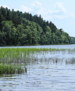 Holandia. Wstrząsająca sytuacja. Zdradził go monitoring