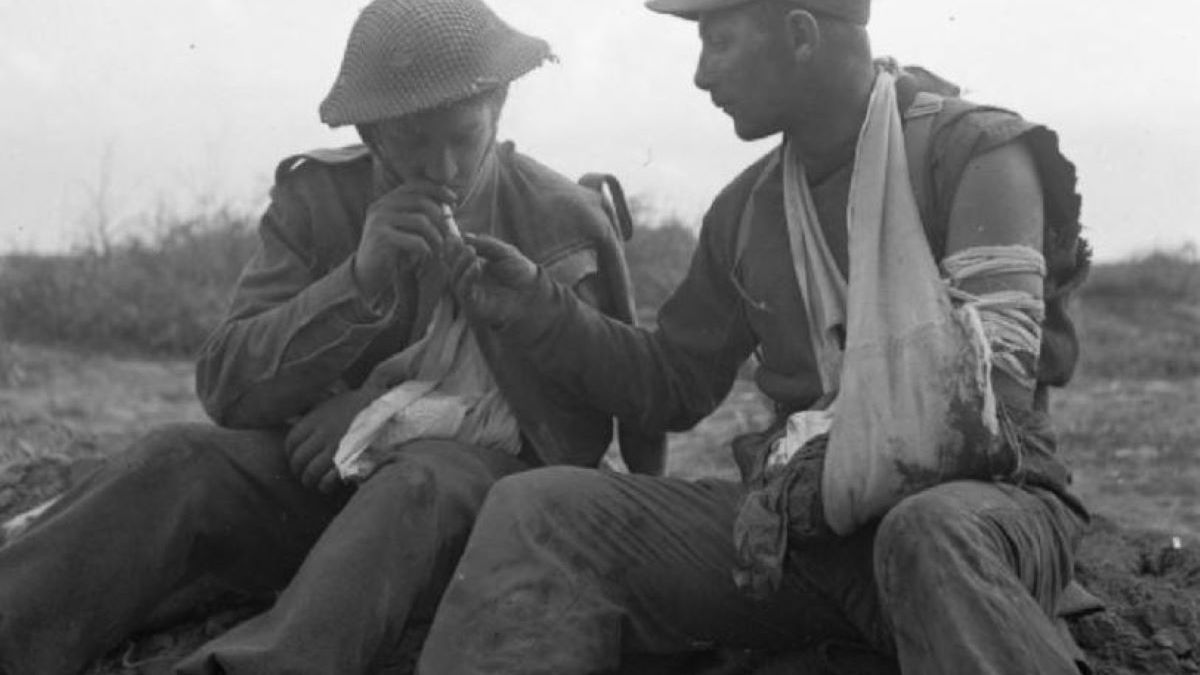 Okazali współczucie w piekle wojny. Te zdjęcia chwytają za serce 1