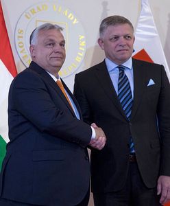 Import rosyjskiego gazu. Węgry i Słowacja przeciwko zakończeniu