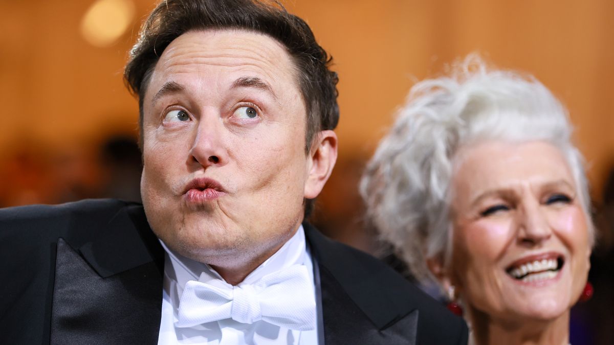 NEW YORK, NEW YORK - MAY 02: Elon Musk and Maye Musk attend The 2022 Met Gala Celebrating "In America: An Anthology of Fashion" at The Metropolitan Museum of Art on May 02, 2022 in New York City. (Photo by Theo Wargo/WireImage)