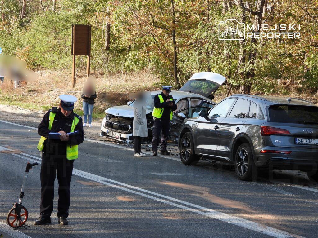 Policjant zapisujący notatki przy uszkodzonym pojeździe na drodze, obok stoi drugi radiowóz. W tle drzewa.
