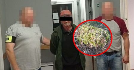 Zastosował w lesie patent z mchem. "Spryciarz" w rękach policji