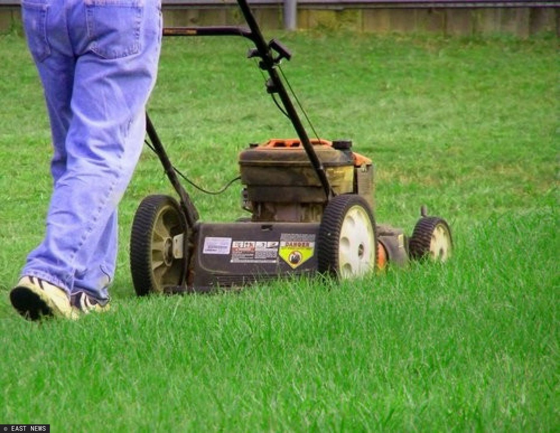 Kosiarka - zdjęcie ilustracyjne 