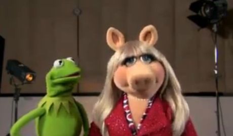 Muppety GRATULUJĄ Kate i Williamowi!