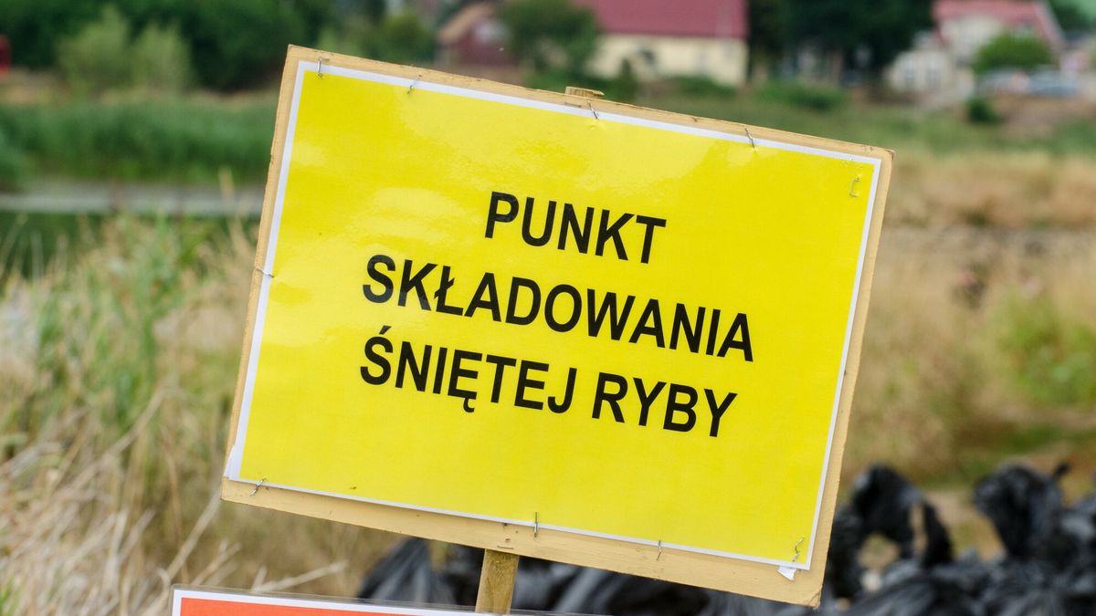 Utworzenie Inspekcji Wodnej to reakcja poprzedniej władzy na katastrofę na Odrze
