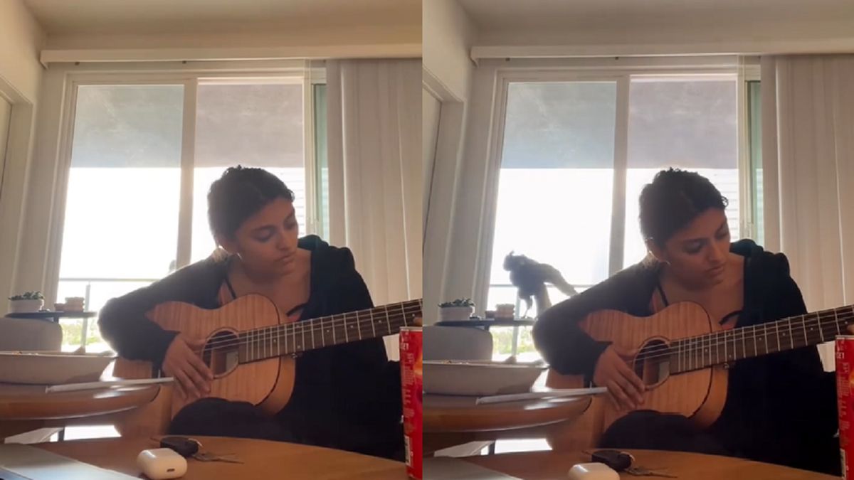 Nikki opublikowała wideo na Instagramie.