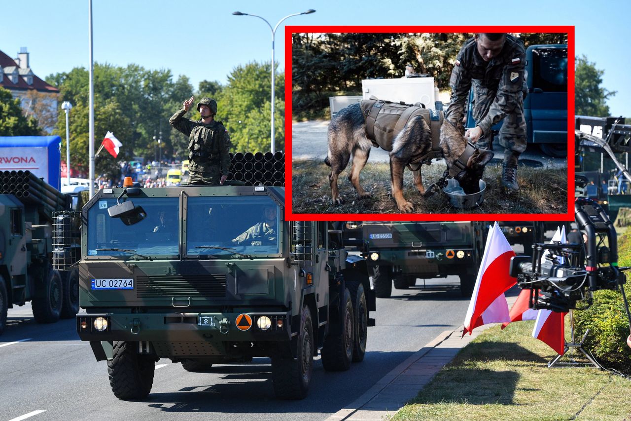 Szum wokół defilady. Poszło o psy