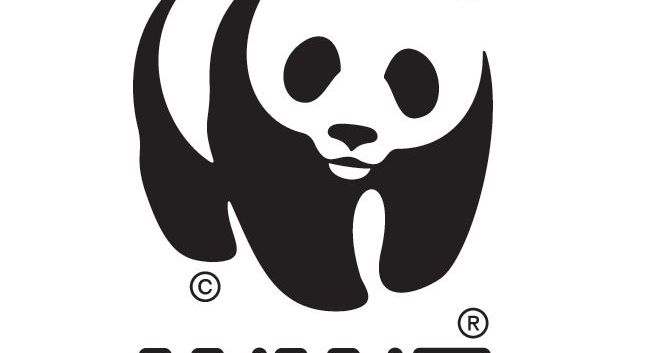 WWF planuje promować ekologię na Cannes Lions i sesjach ONZ