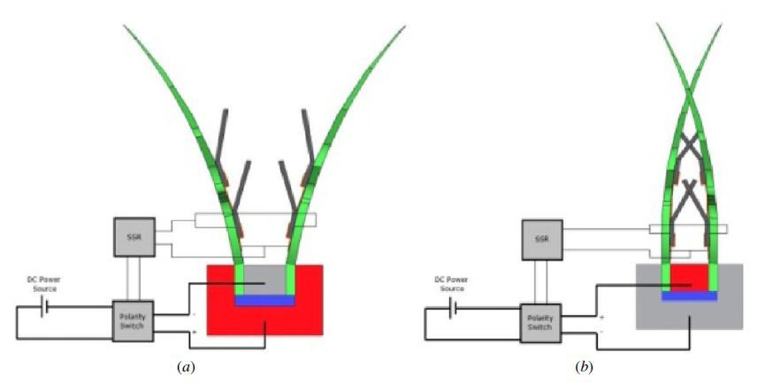Robot, który czerpie energię z pożywienia? 3