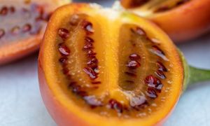 W Polsce jest bardzo mało znany, a pyszny i zdrowy. Kiedy się natkniesz w sklepie, kup bez wahania