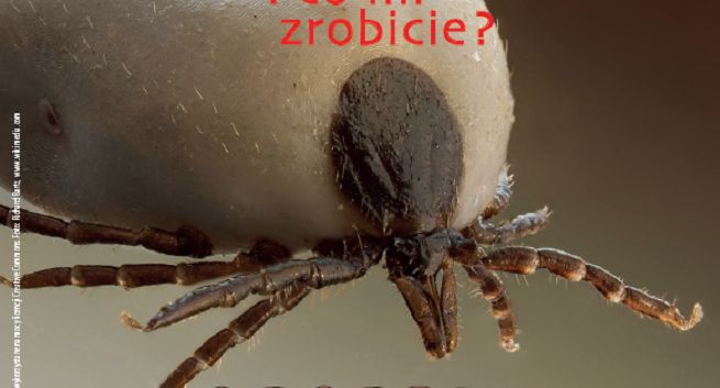 „Szczepimy! Zapobiegamy!” - Fundacja Aby Żyć ostrzega przez kleszczowym zapaleniem mózgu (wideo)