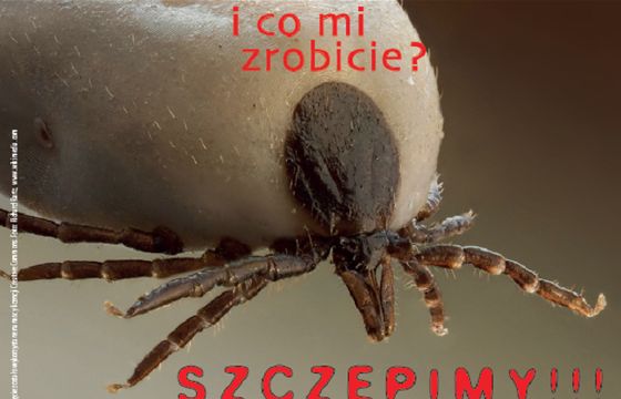 „Szczepimy! Zapobiegamy!” - Fundacja Aby Żyć ostrzega przez kleszczowym zapaleniem mózgu (wideo)
