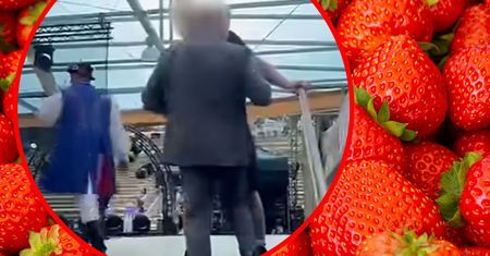 Chciał wejść na scenę. Poseł PiS starł się z ochroną