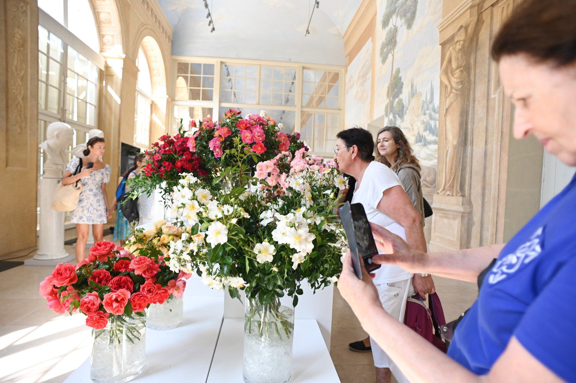 Royal Rose 2025 już wkrótce