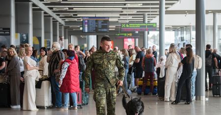 Rzucił żartem i nie poleciał. Na koniec wlepili mu jeszcze mandat