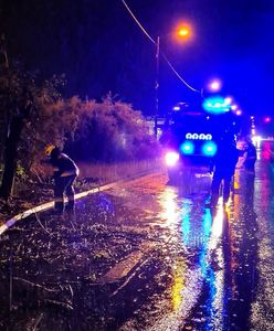 Śląskie. Pracowity weekend strażaków, mnóstwo interwencji w związku z pogodą