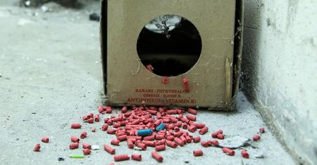 Tragedia pod Ciechanowem. 3,5-letnia dziewczynka nie żyje